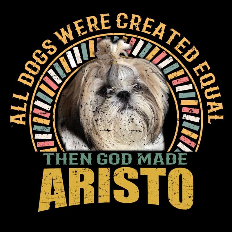 aristo