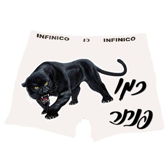 הדפסה על בוקסר פנתר לגבר