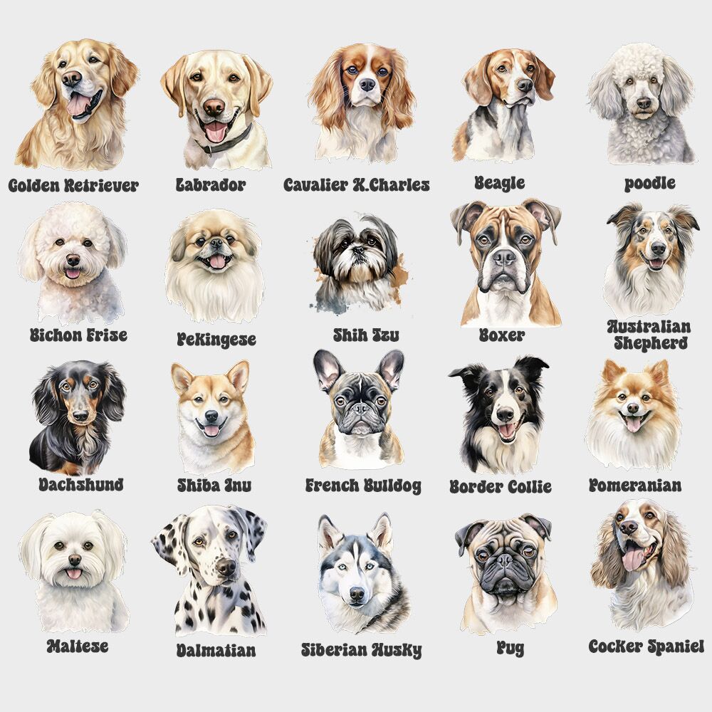 בגד גוף לתינוק Protected By – תמונה 3