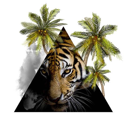 חולצה להיפסטרים