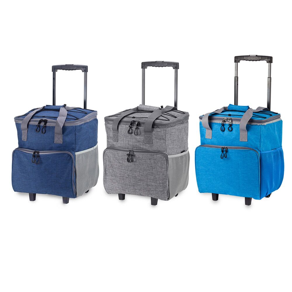 הדפסה על צידנית